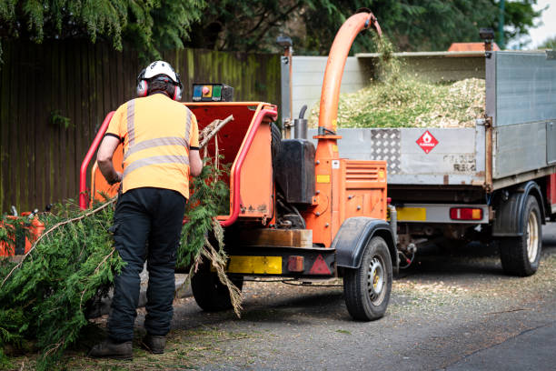 Lawn Irrigation Installation and Maintenance